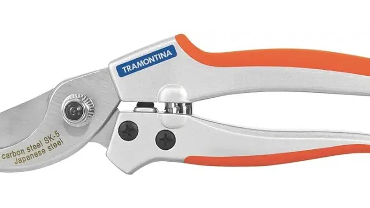 Melhor tesoura de poda profissional: 10 Modelos de Corte Preciso