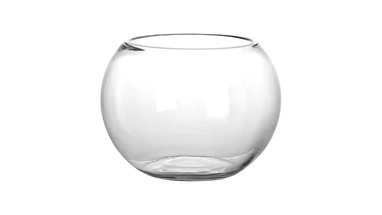 Melhor Tipo de Vaso para Suculentas: Análise Completa e Recomendações