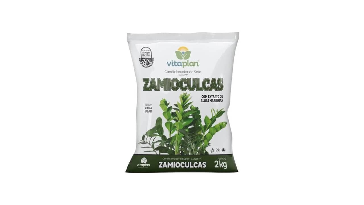 Melhor Tipo de Vaso para Zamioculca: 5 Modelos com Excelente Durabilidade