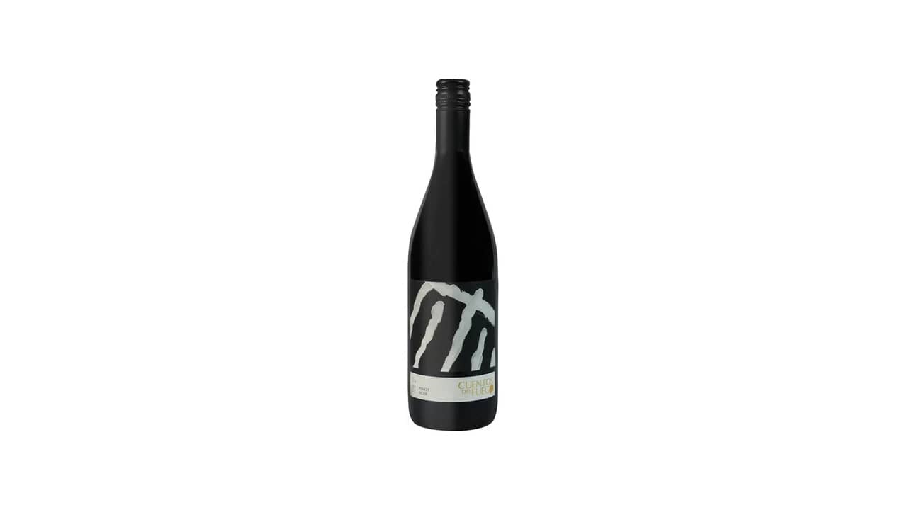 Melhor Uva Vinho Chileno: Análise de 10 Otimas Opções