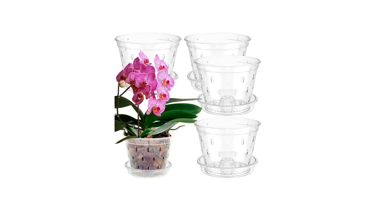 Melhor vaso para orquídea phalaenopsis: Foco na Saúde das Raízes