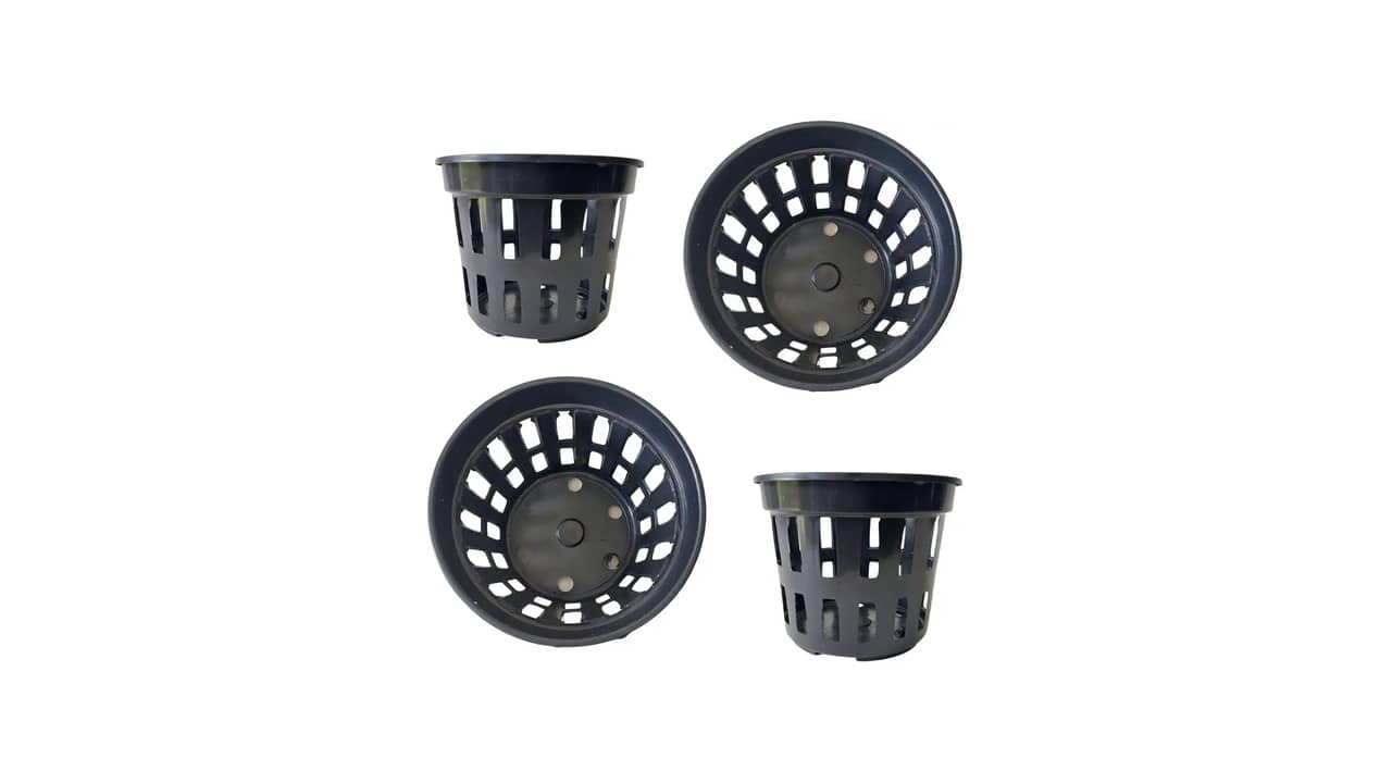 Melhor Vaso para Plantar Flor de Maio: 7 Opções Versáteis e Duráveis
