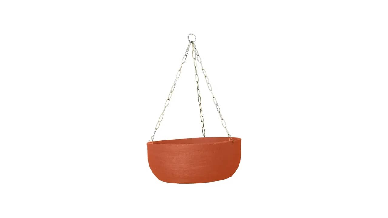 Melhor Vaso para Plantar Samambaia: 5 Opções Resistentes e Estilosas