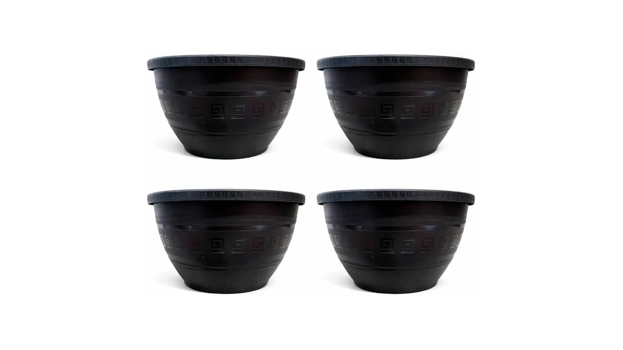 Melhor Vaso para Plantar Suculentas: Análise de 10 Modelos Excelentes