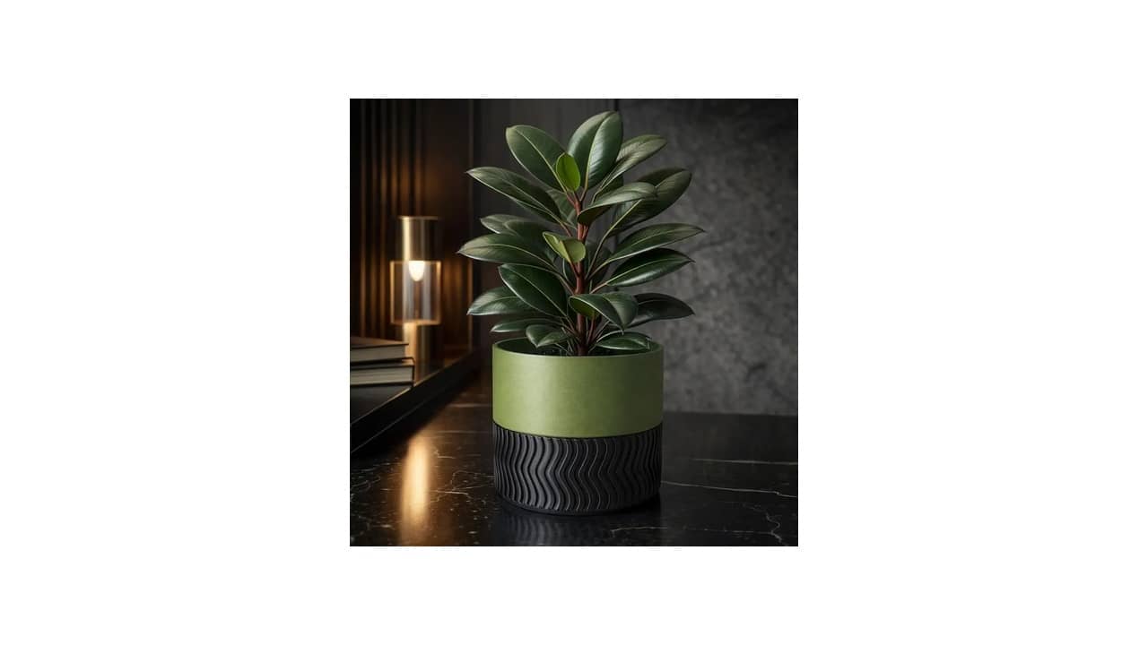 Melhor Vaso para Plantar Zamioculca: Análise Completa dos 10 Modelos