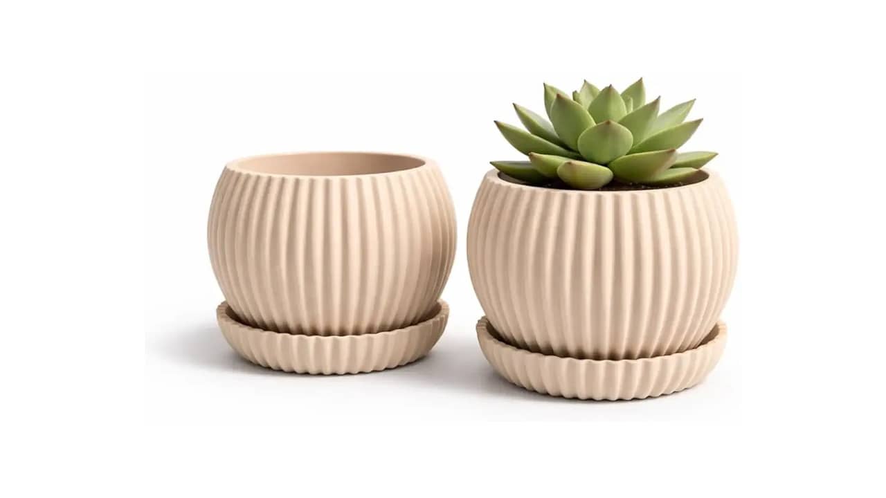 Melhor Vaso para Suculentas: Análise de 10 Opções com Design e Funcionalidade