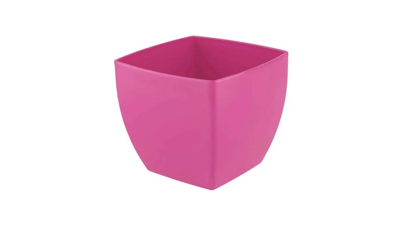 Melhor Vaso Rosa do Deserto: Qual Seu Melhor Compromisso?