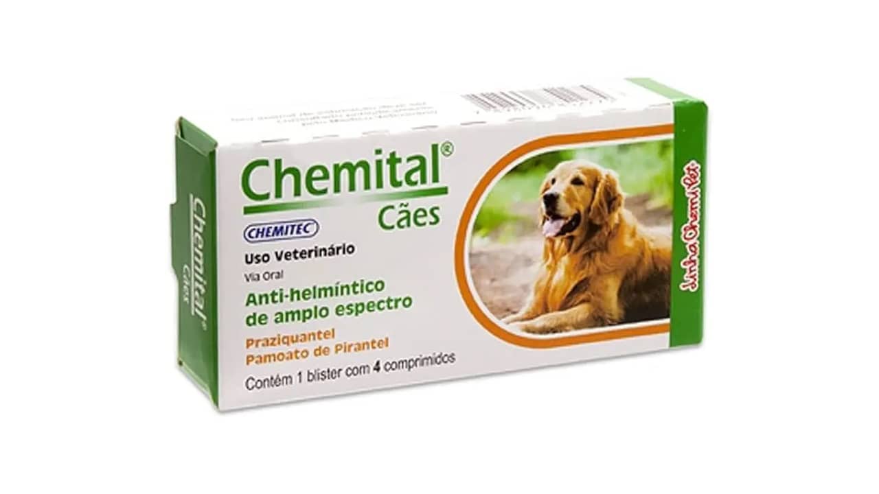 Melhor Vermífugo para Cães Idosos: Análise dos 10 Melhores Produtos
