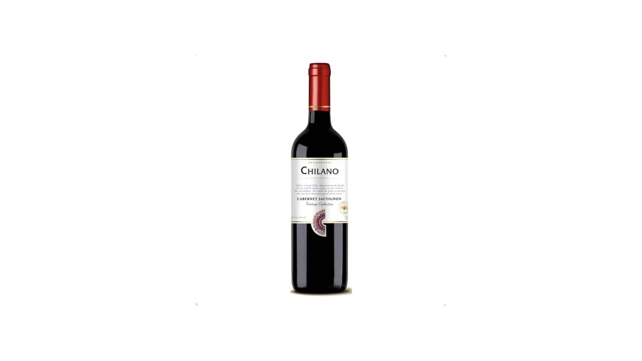 Melhor Vinho Chileno Até 100 Reais: 10 Rótulos Top