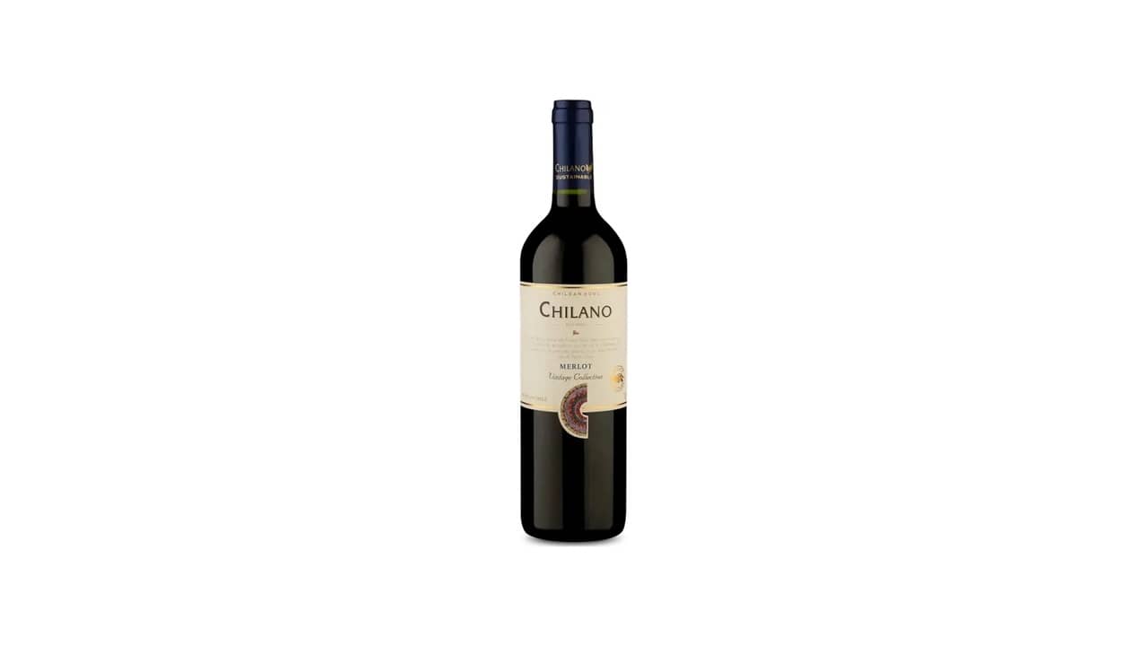 Melhor vinho chileno barato: 10 Rótulos Saborosos