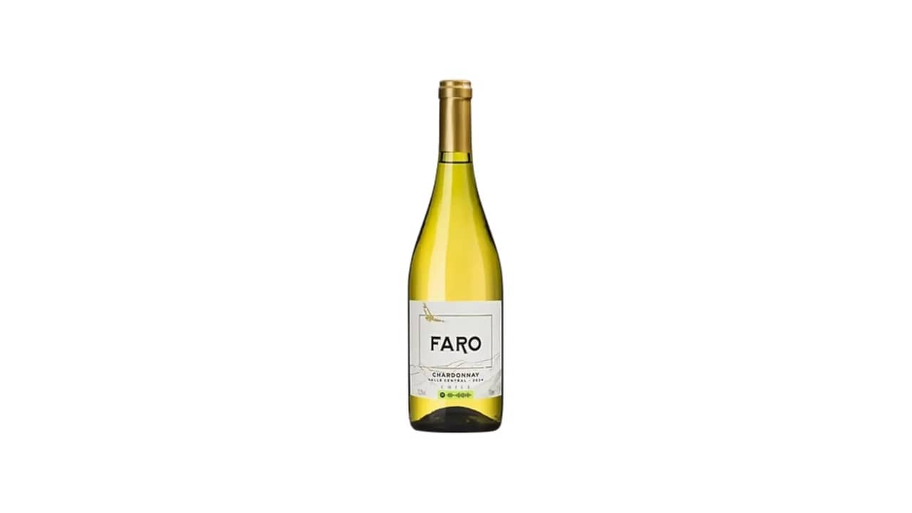 Melhor Vinho Chileno do Mundo: Análise das 10 Opções Mais Destacadas