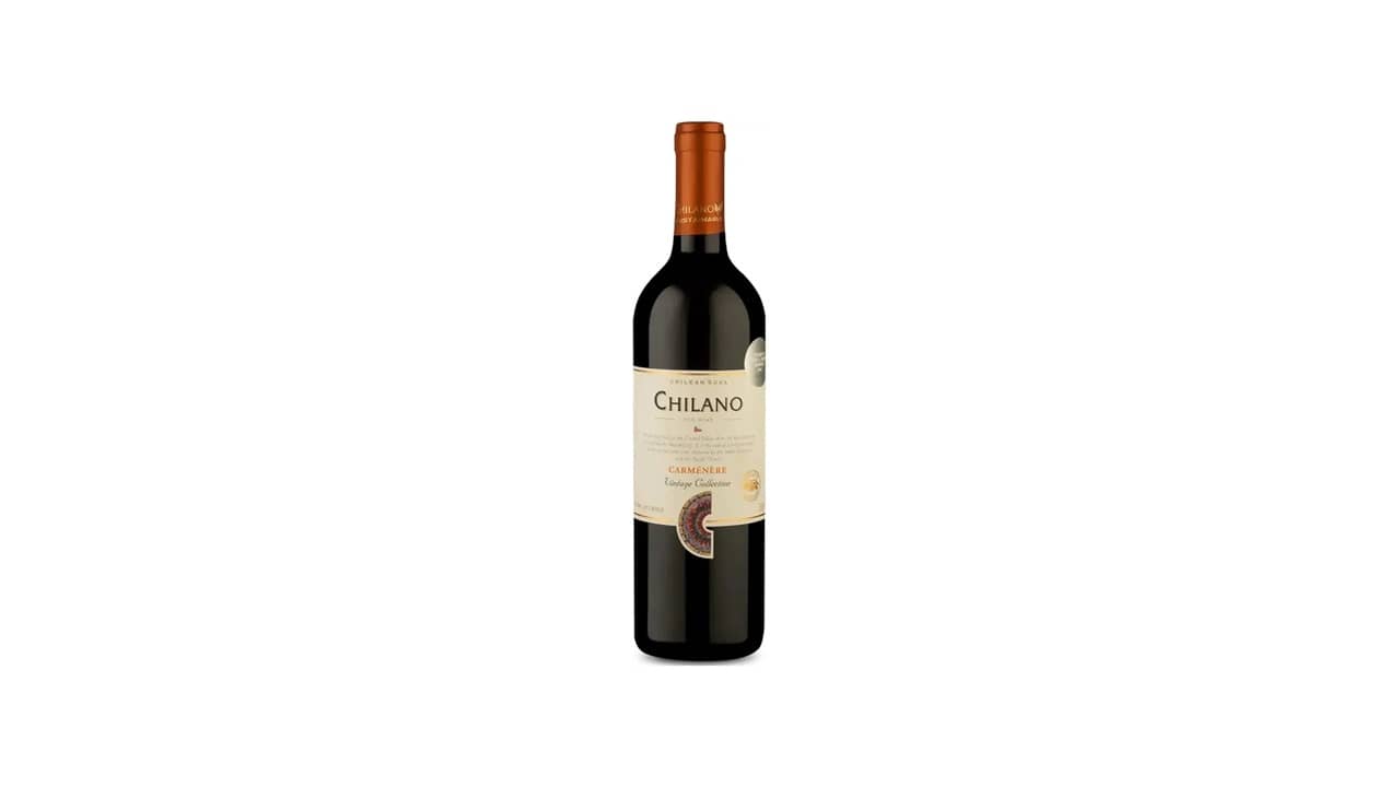 Melhor Vinho Chileno Valor: 10 Opções de Bom Custo-Benefício
