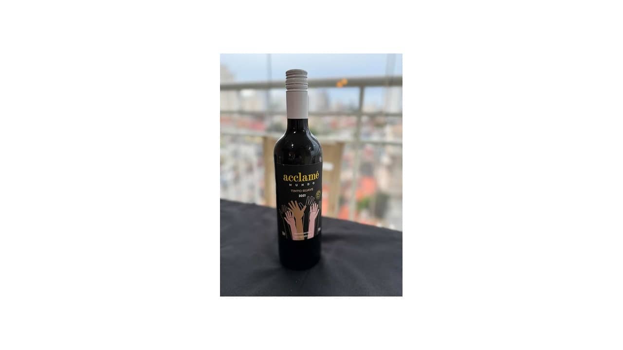 Melhor Vinho do Mundo Barato: 10 Rótulos de Alto Custo-Benefício