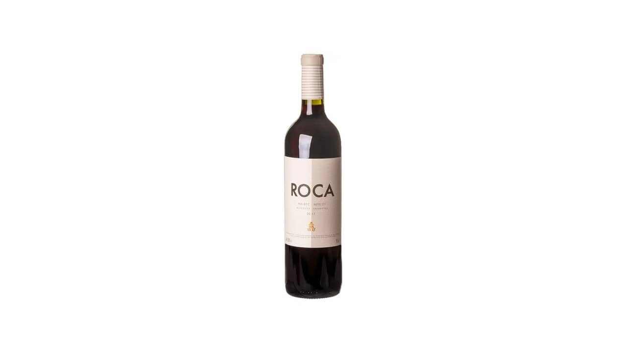 Melhor vinho é mais forte merlot ou malbec? Guia de Corpo e Taninos
