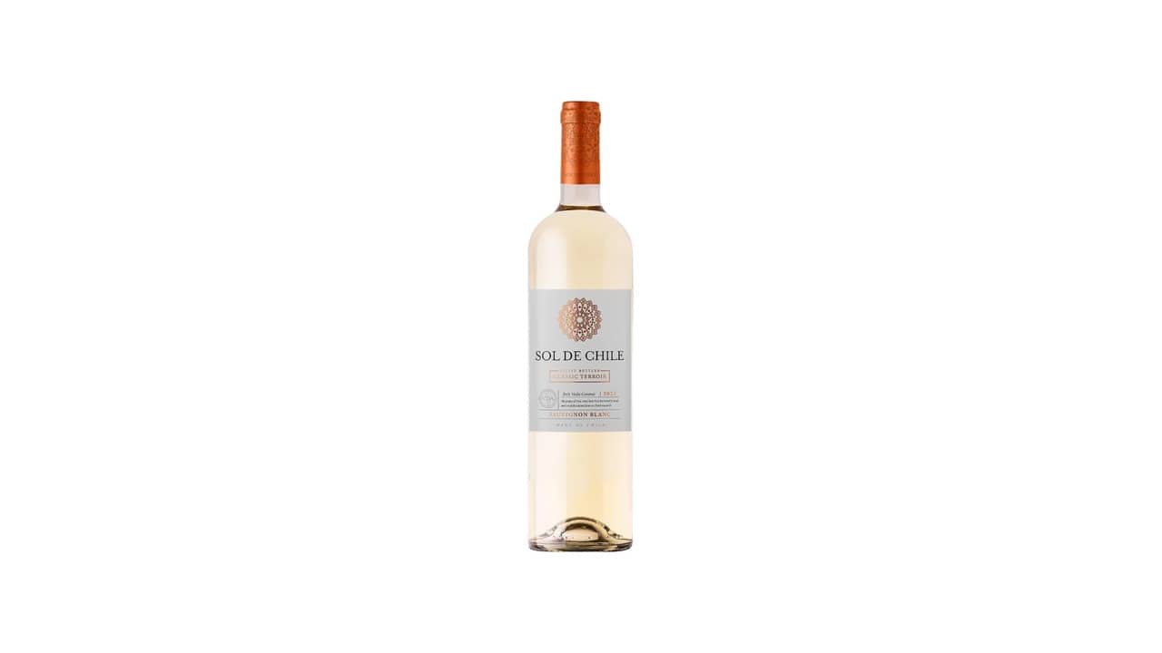 Melhor Vinho Para Comprar no Chile: Guia de Rótulos
