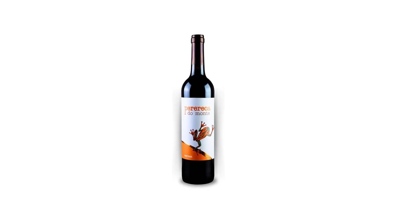Melhor vinho seco para iniciante: Para Começar Bem