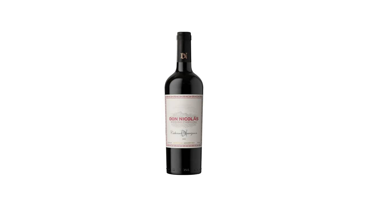 Melhor Vinho Tinto Argentino: Análise Detalhada das Opções Excepcionais