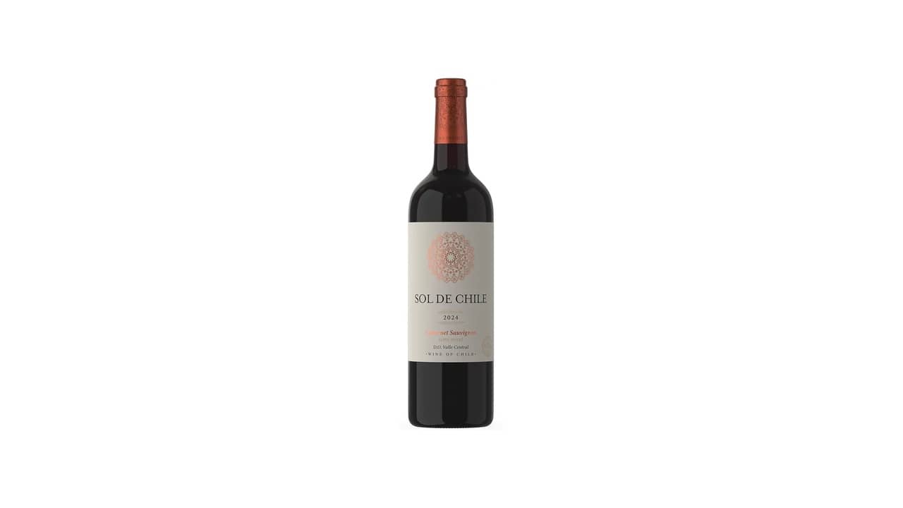 Melhor Vinho Tinto Suave Chileno: As 10 Opções Mais Indicadas