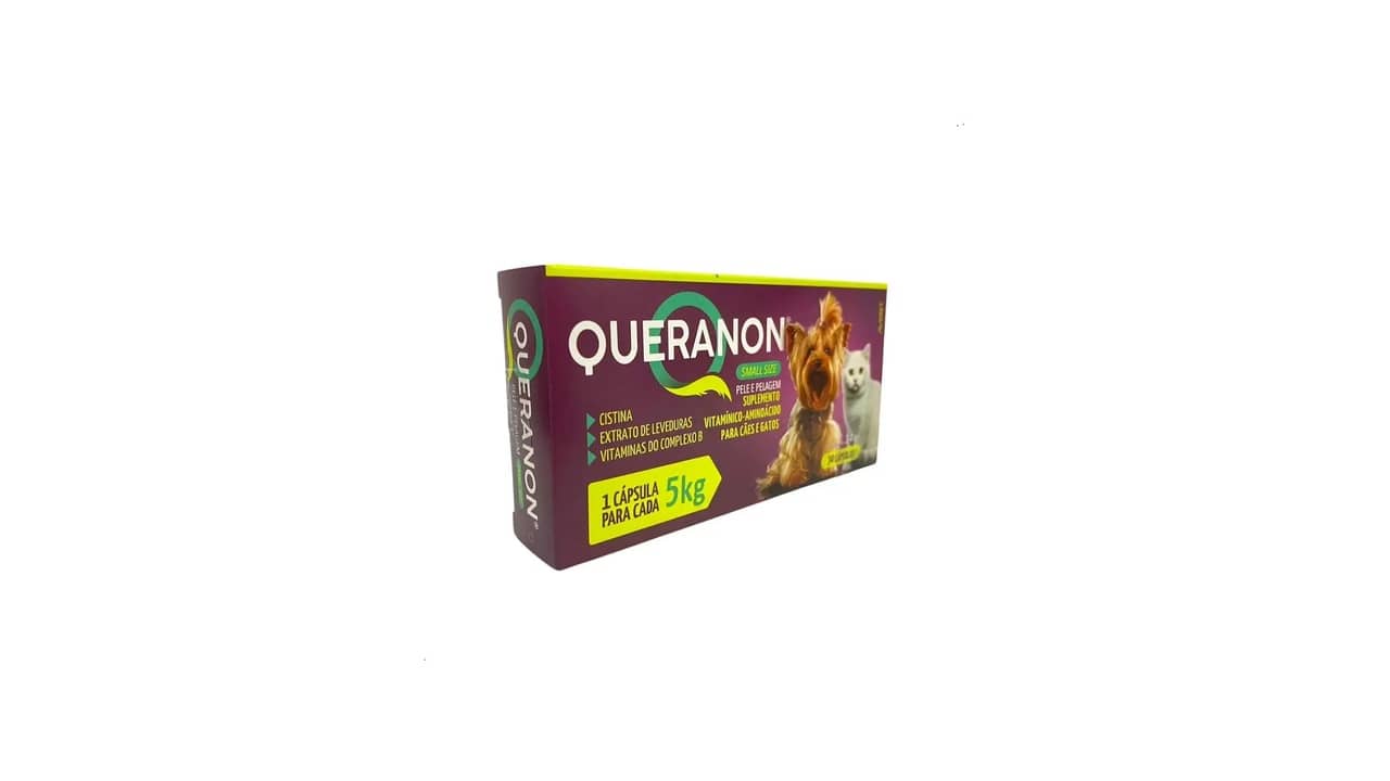 Melhor vitamina para queda de pelo cachorro: 10 Opções Eficazes