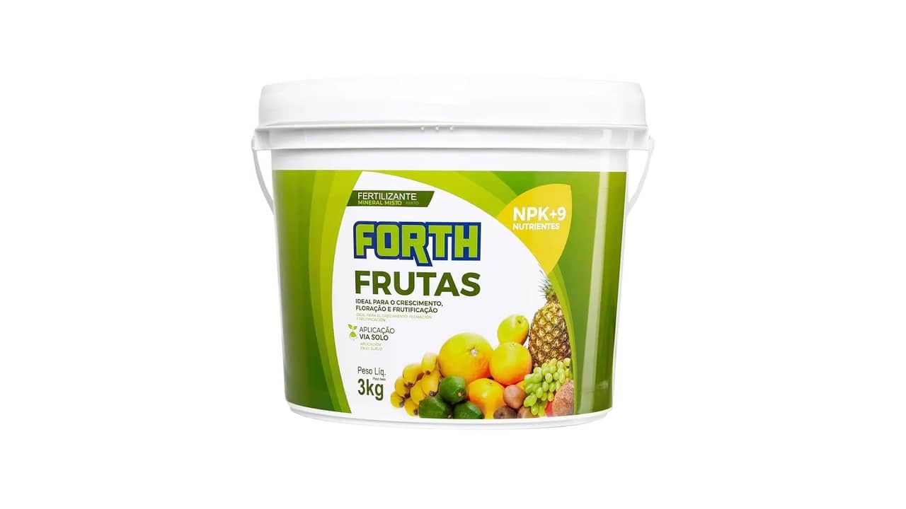 Melhores Frutíferas para Quintal: As Mais Produtivas e Adaptáveis