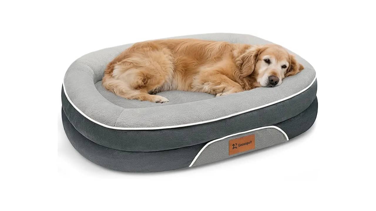 Qual a Melhor Cama Pet Ortopédica: Análise dos Modelos Mais Confortáveis