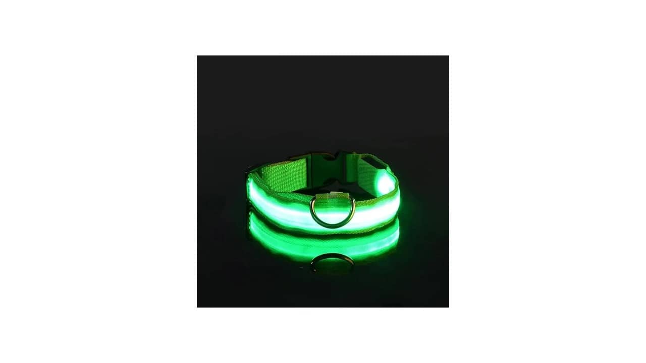 Qual a Melhor Coleira com Luz LED para Passeio Noturno: Visibilidade e Segurança