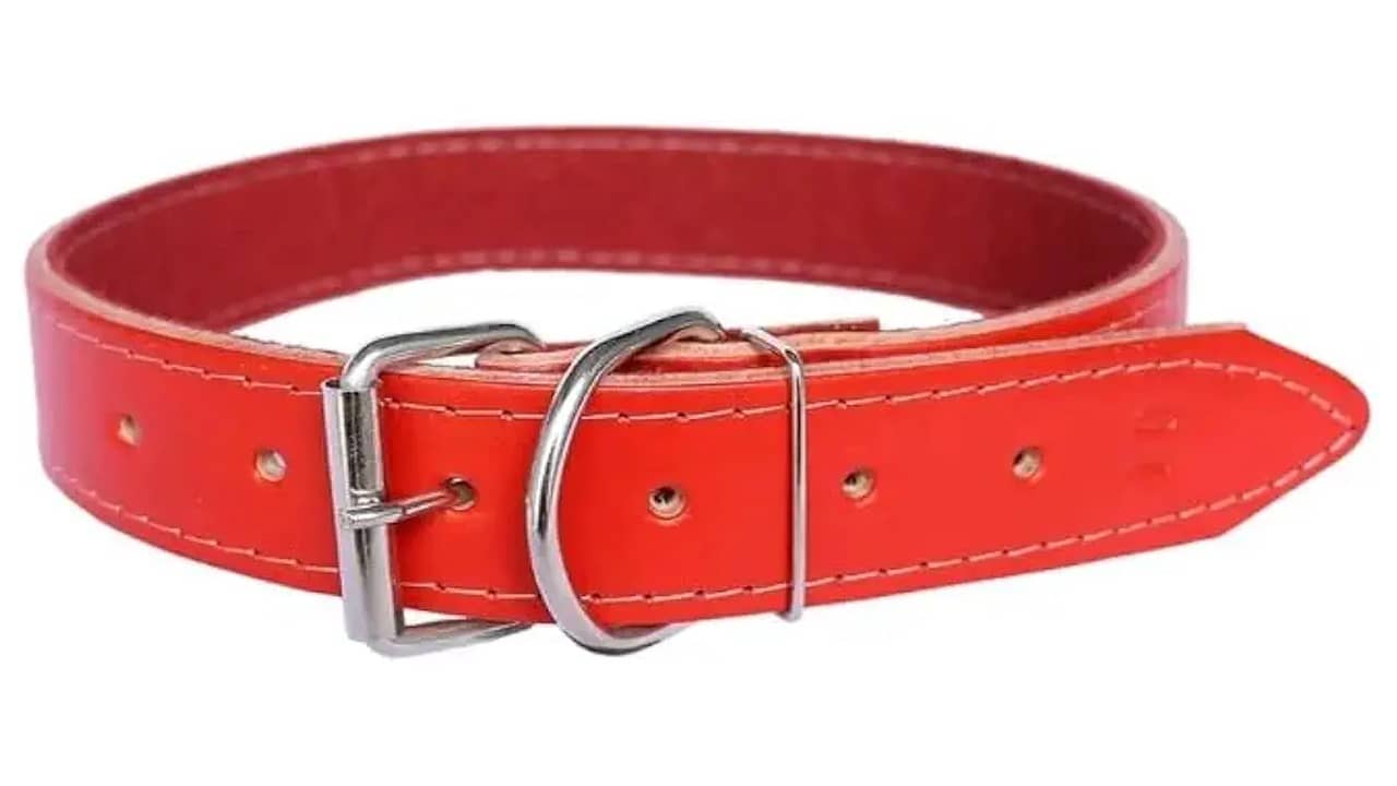 Qual a Melhor Coleira de Couro para Cachorro: Luxo e Durabilidade