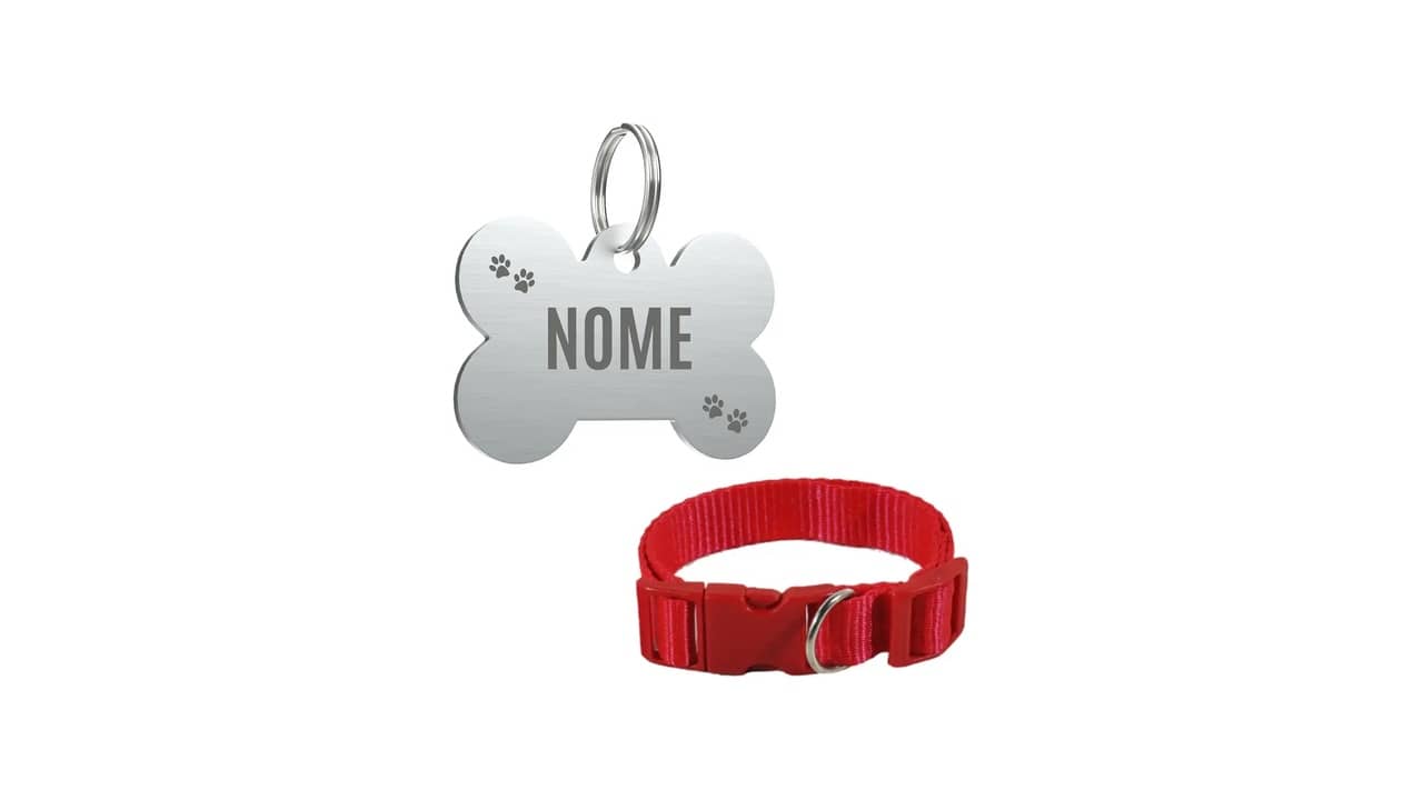 Qual a Melhor Coleira Personalizada com Nome: 9 Modelos Segurança e Estilo