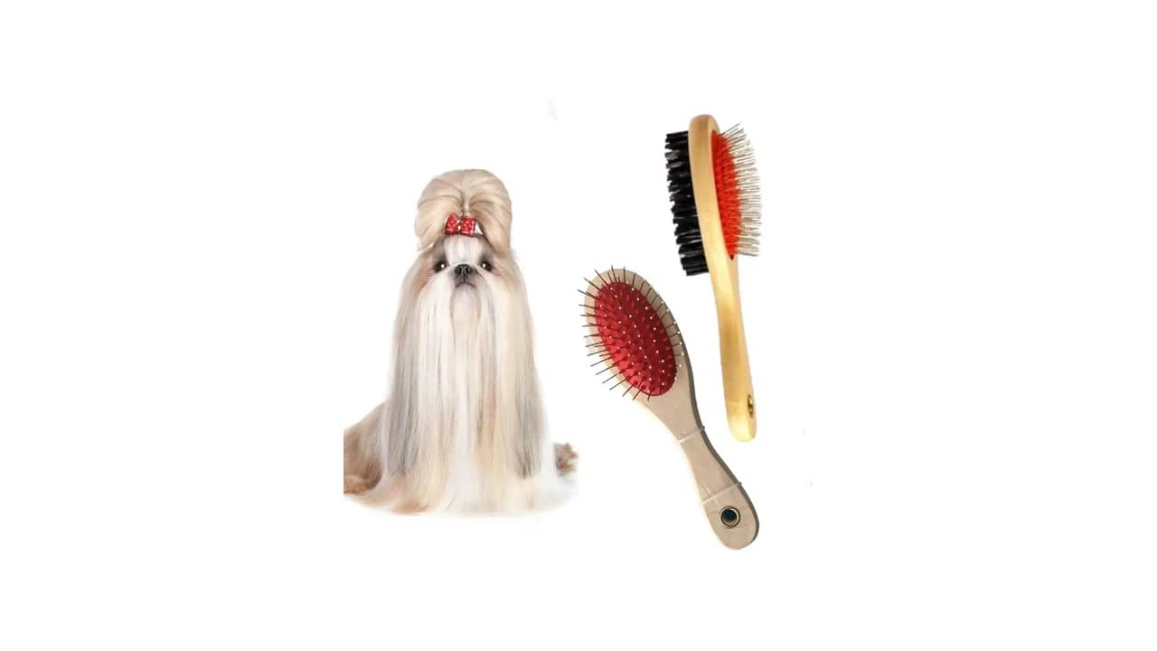 Qual a Melhor Escova para Cachorro de Pelo Longo: Desembaraçando de Nós com Eficiência