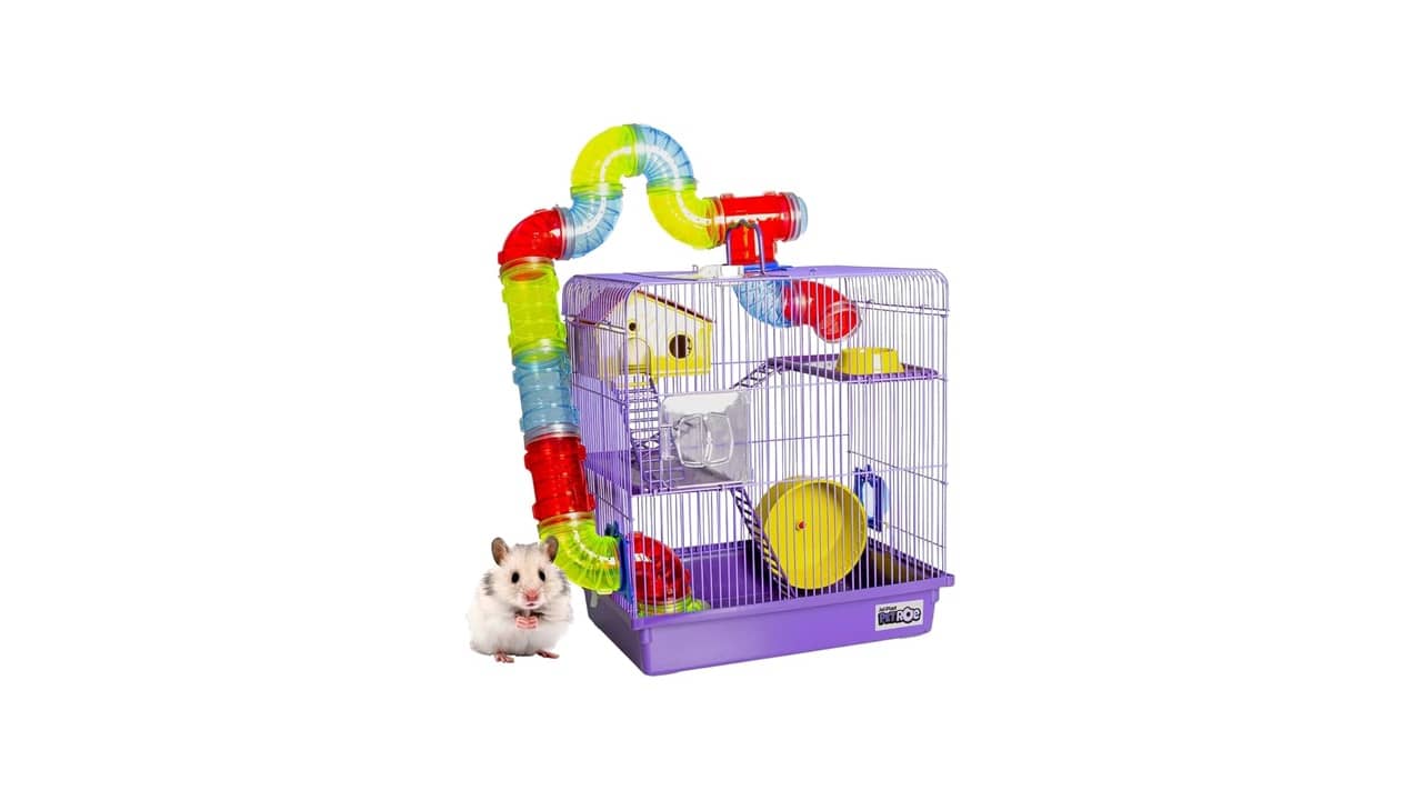 Qual a Melhor Gaiola para Hamster Sírio? 10 Modelos com Espaço e Qualidade