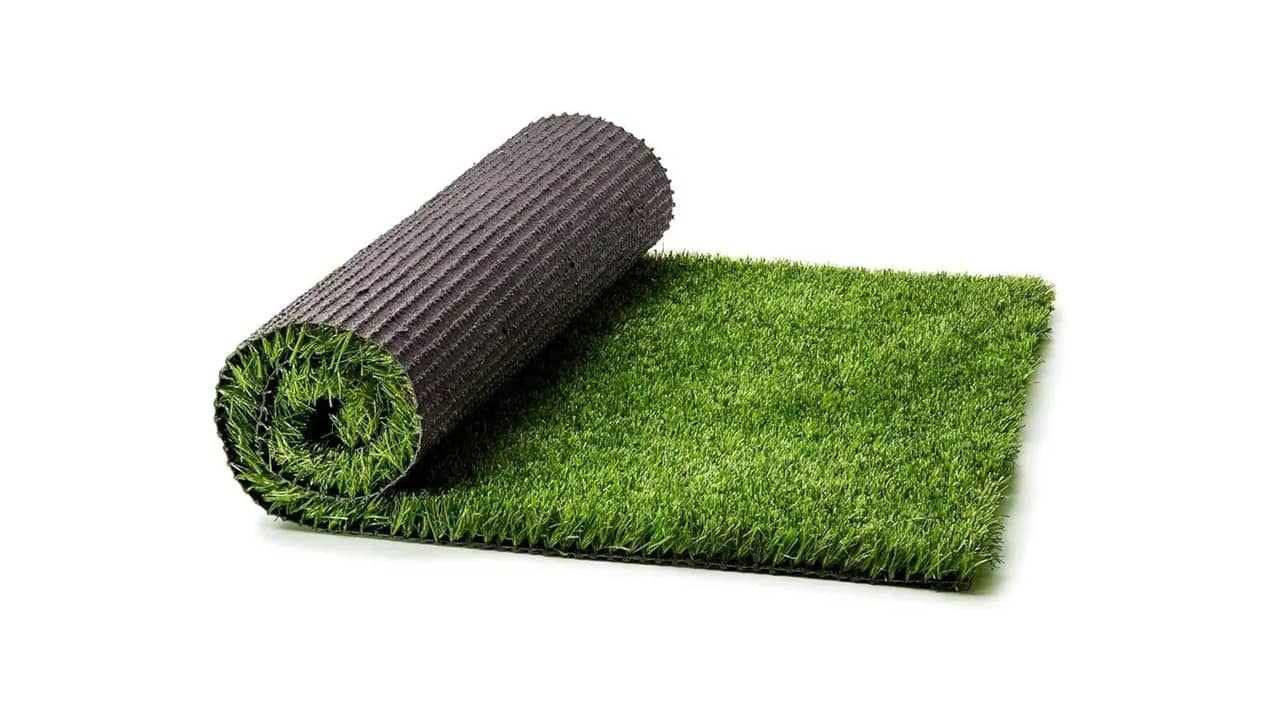 Qual a Melhor Grama para Jardim: Proteção UV e Alta Densidade