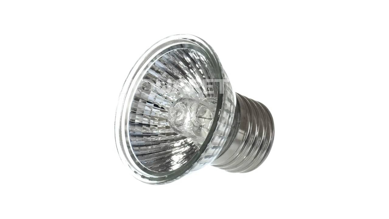 Qual a Melhor Lâmpada UV para Répteis: Análise Completa de 10 Modelos