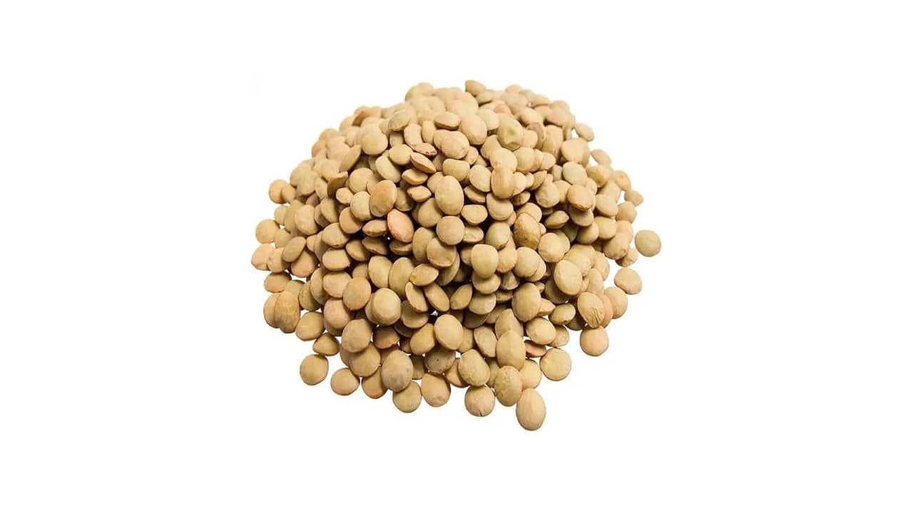 Qual a Melhor Lentilha para Salada: Análise Detalhada e Recomendações