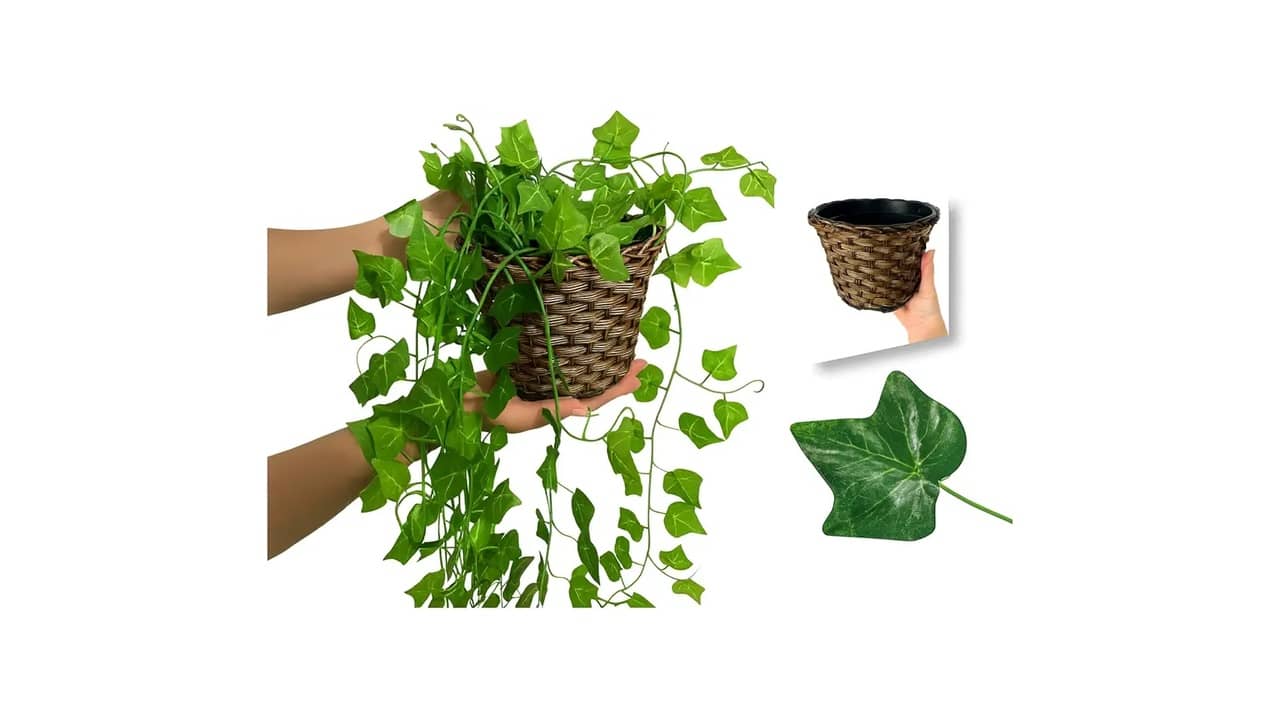 Qual a Melhor Planta para Mesa de Escritório: 9 Opções Elegantes e Duráveis
