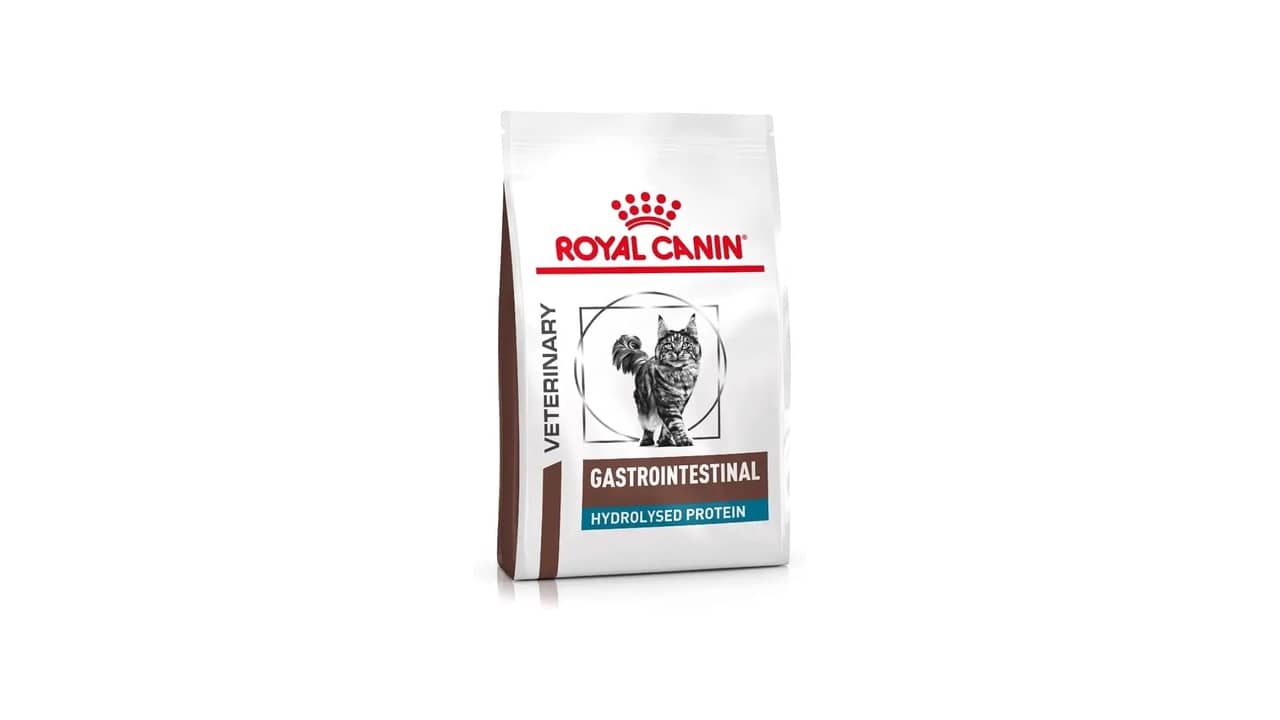 Qual a Melhor Ração Gastrointestinal para Gatos: Análise de 10 Opções Especializadas