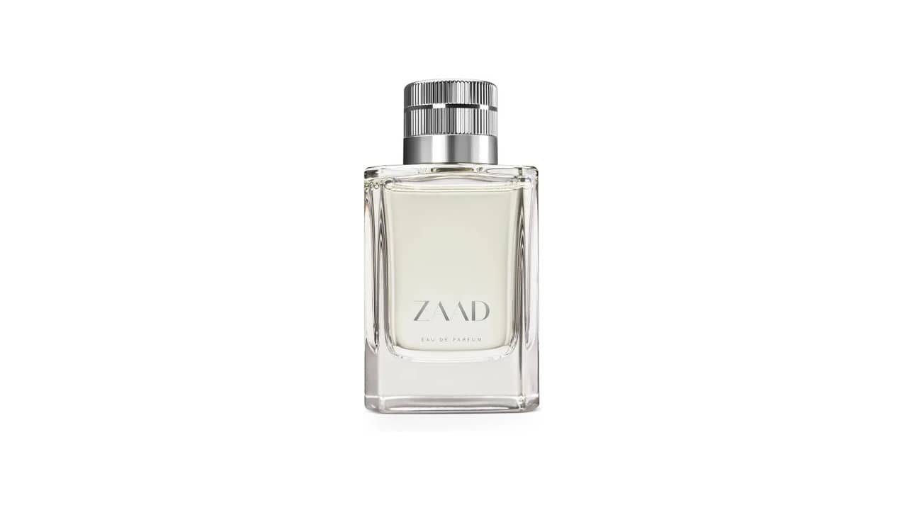 Qual é o Melhor Zaad: Análise Completa dos 10 Modelos Em Destaque
