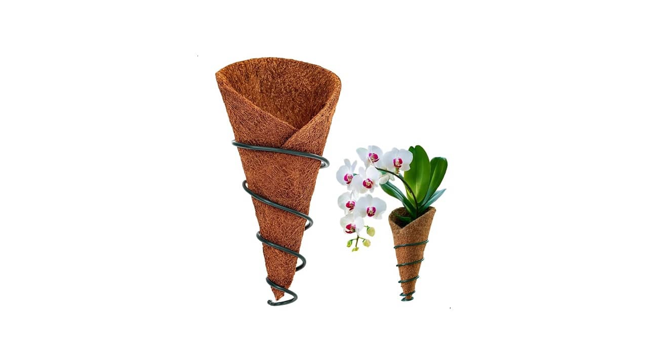 Qual Melhor Vaso para Orquídeas: Análise de 10 Modelos