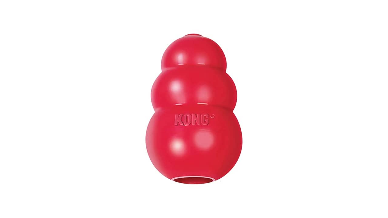 Qual o Melhor Brinquedo Kong para Cães: Análise Completa das 10 Melhores Opções