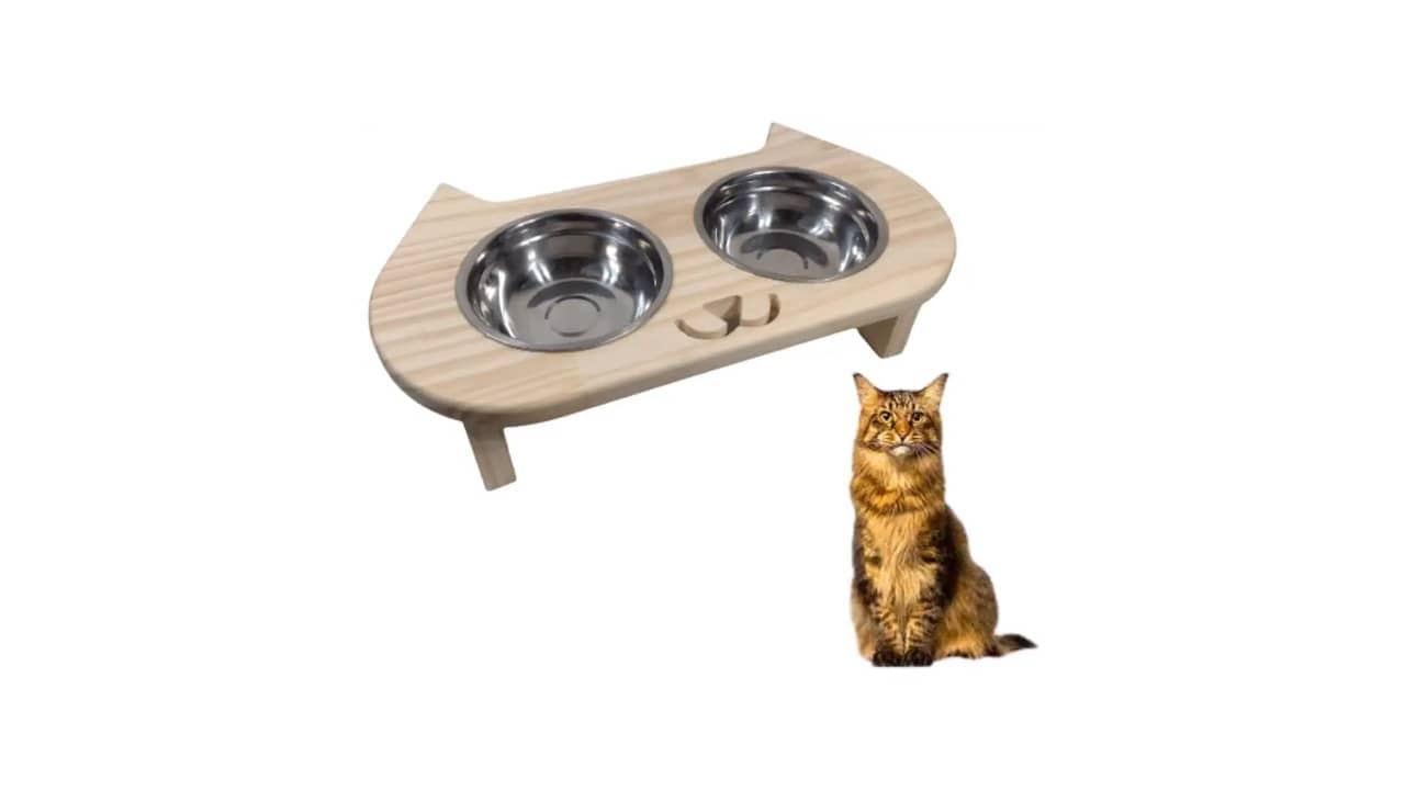 Qual o Melhor Comedouro para Gato: Elevado e Ergonômico