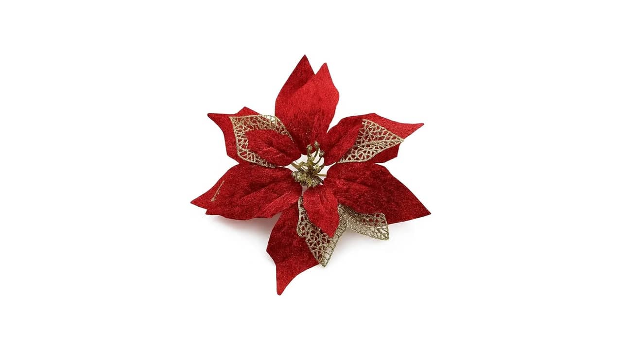 Qual o Melhor Enfeite de Natal: Decoração e Estilo