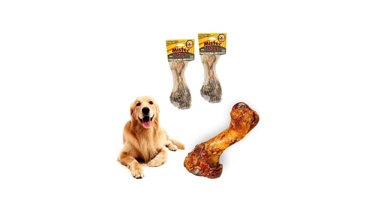 Qual o Melhor Osso para Cachorro Roer: Fortaleça os Dentes Naturalmente