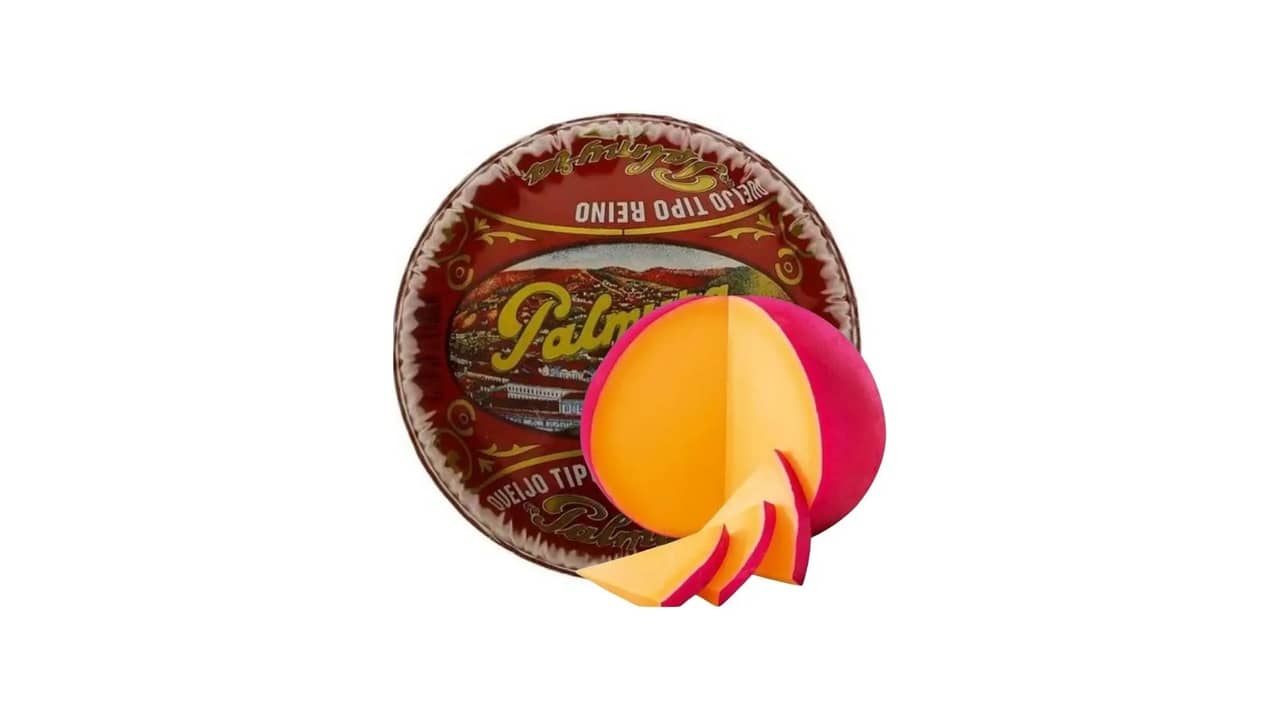 Qual o Melhor Queijo do Reino: Análise dos 10 Mais Sabrosos