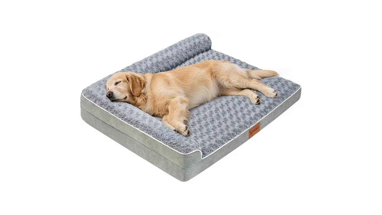 Qual o Melhor Sofá para Cachorros: Conforto, Resistência e Design