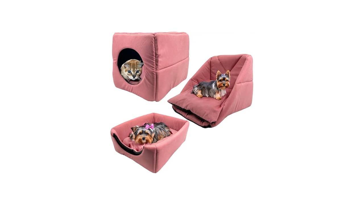 Qual o Melhor Sofá para Gatos: Conforto e Proteção
