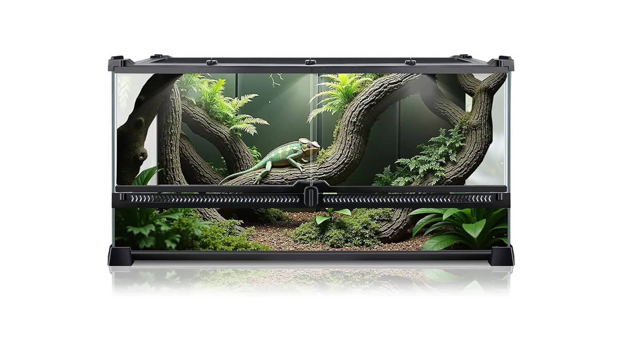 Qual o Melhor Terrário para Cobra: Análise Completa dos 10 Modelos Mais Indicados