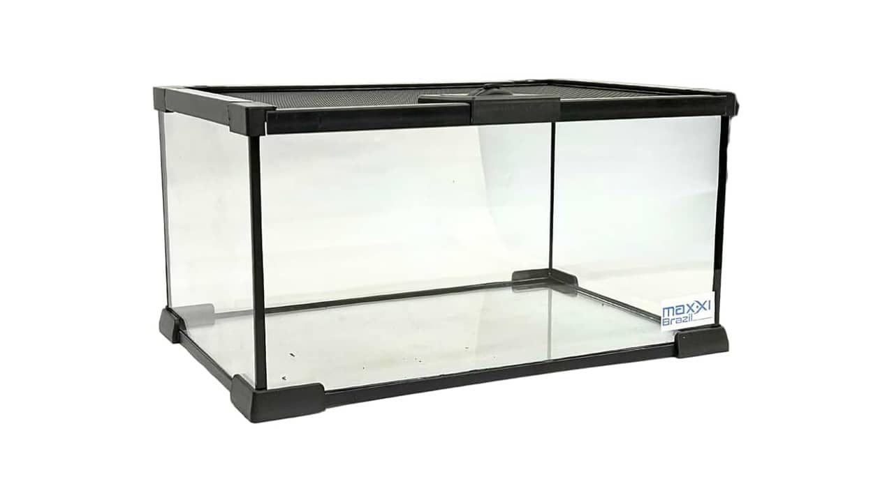 Qual o Melhor Terrário para Répteis: Comparativo de 10 Modelos