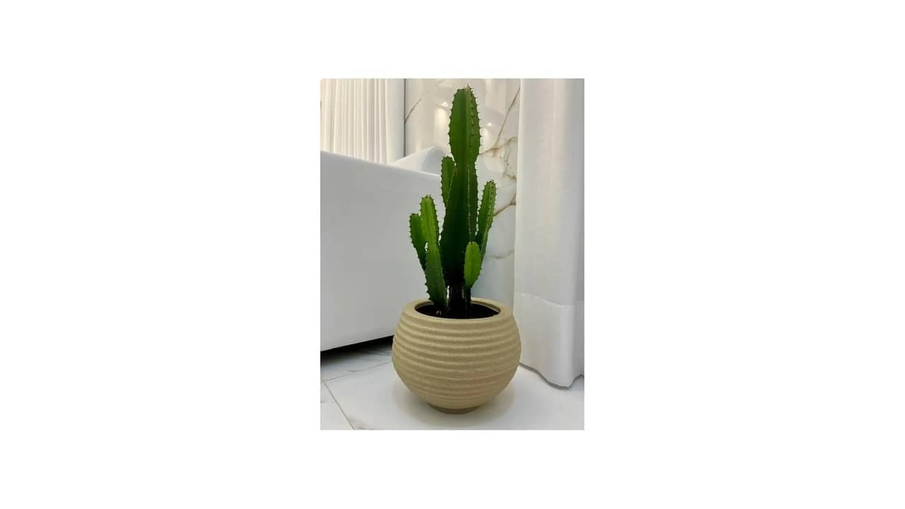 Qual o Melhor Vaso para Colocar Zamioculca: Design e Durabilidade