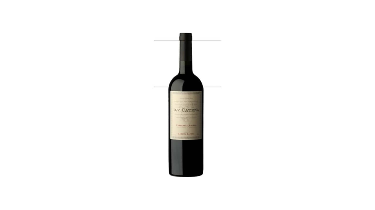 Qual o Melhor Vinho Cabernet Sauvignon ou Malbec: Análise de 10 Opções Premium