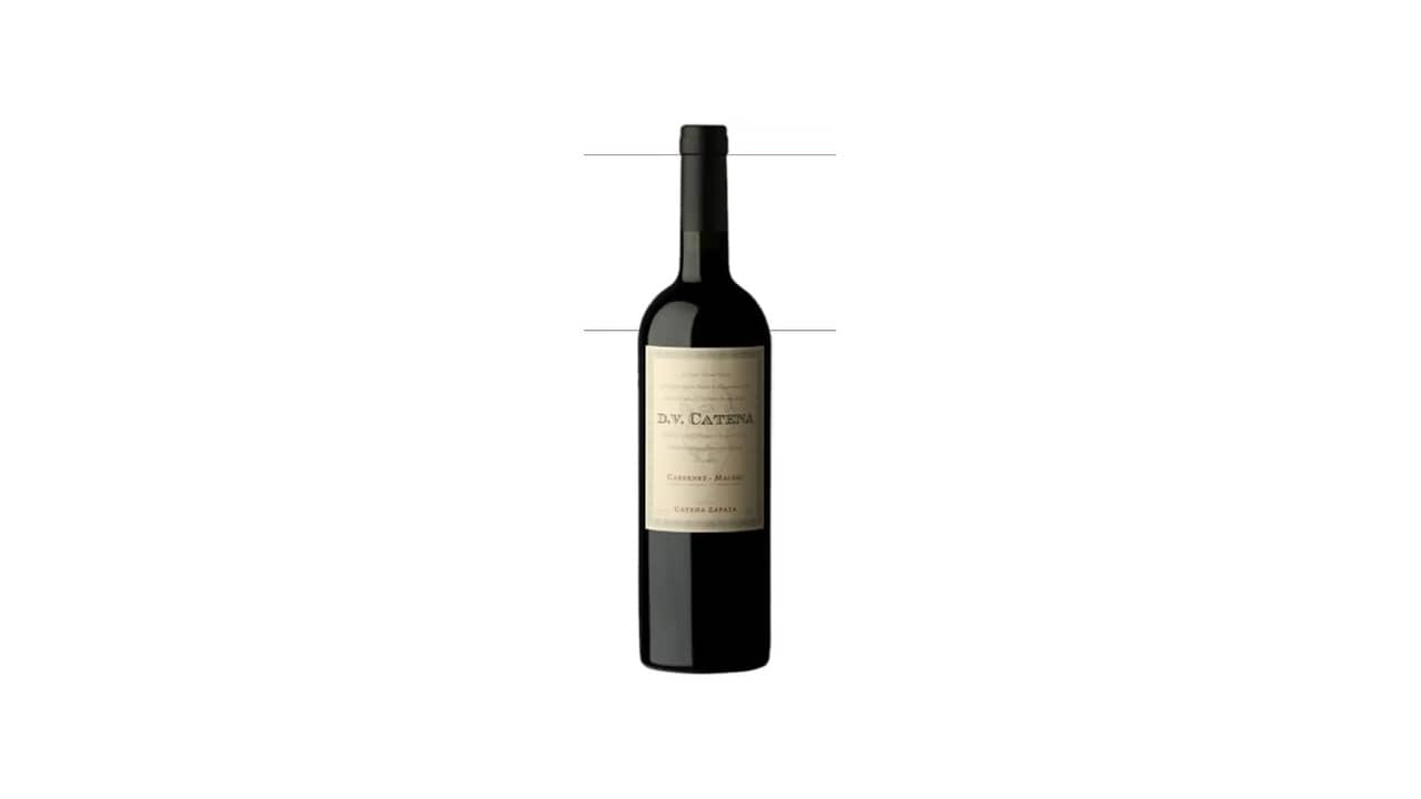 Qual o Melhor Vinho Malbec ou Cabernet Sauvignon: Análise Detalhada